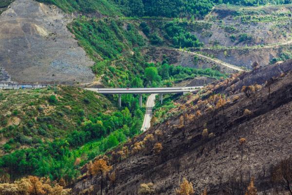 Types of Environmental Impact - 1. Positive and negative environmental impact