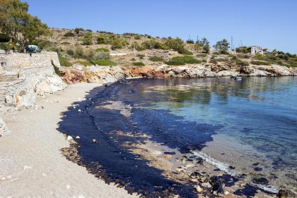 Types of Environmental Impact - 7. Local and widespread impact
