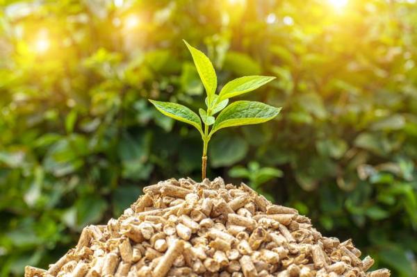What Is Biomass Energy? - Advantages of biomass energy