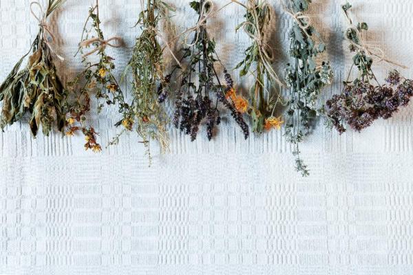 Best Ways to Preserve Flowers - Air drying