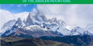 Andean Plants and Animals - Flora and Fauna