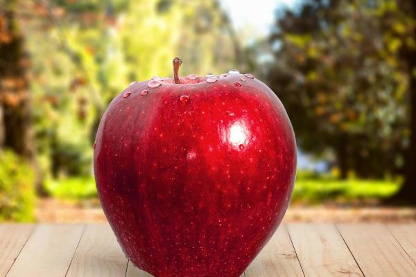 Types of Autumn Fruit - Fall Fruits - Apple