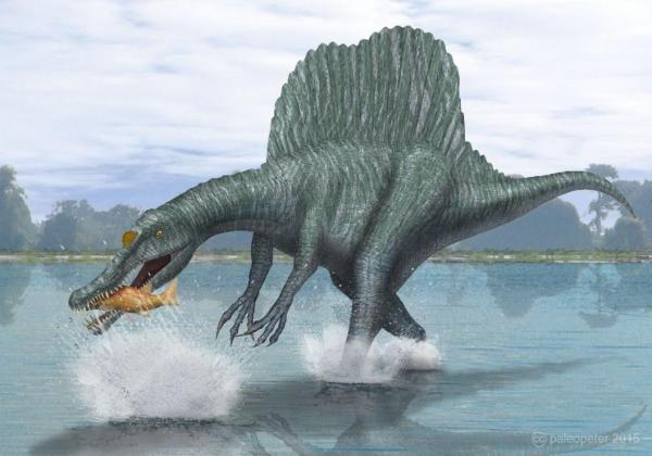 Were There Ocean Dinosaurs? - Aquatic dinosaurs
