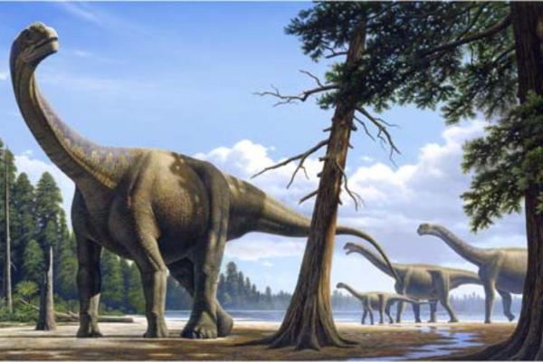 What Dinosaurs Were Found in Spain? - Aragosaurus ischiaticus