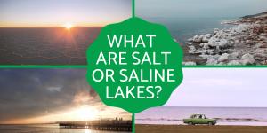 Are There Salt Water Lakes?