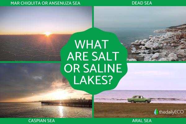 Are There Salt Water Lakes?
