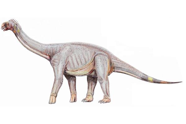 What Dinosaurs Were Found in Spain? - Astrodon johnstoni