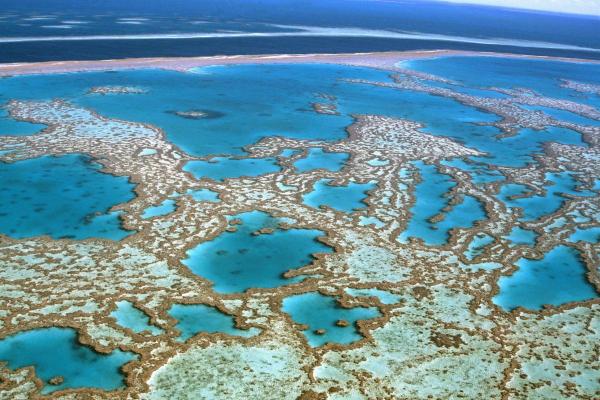 Different Types of Island - With Examples - Atolls (coral islands)