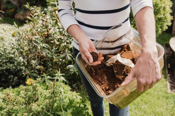 Are Coffee Grounds Good for Plants? - Benefits of coffee grounds for plants