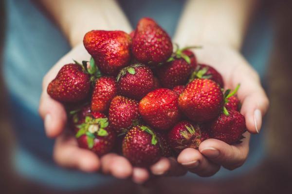 Strawberry Properties, Benefits and Contraindications - Benefits of strawberries
