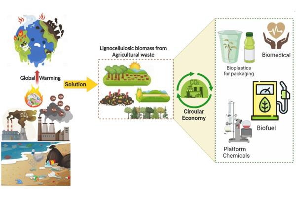 What Is a Circular Economy Business Model? - Benefits of the circular economy