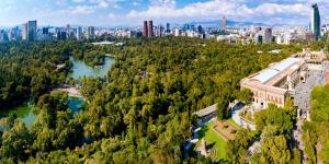 Benefits of Urban Forestry - Environmental, Social, and Economic