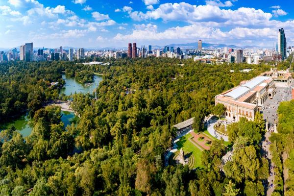 Benefits of Urban Forestry - Environmental, Social, and Economic