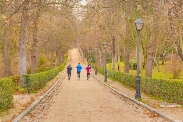 Benefits of Urban Forestry - Environmental, Social, and Economic - Benefits of urban forests for human health