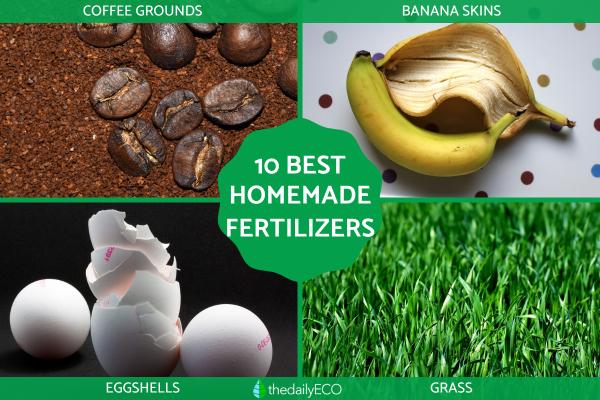 Best Homemade Organic Fertilizers for the Garden