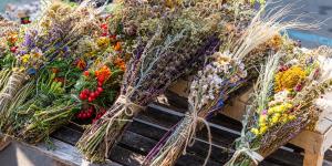 Best Ways to Preserve Flowers