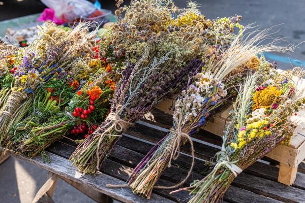 Best Ways to Preserve Flowers