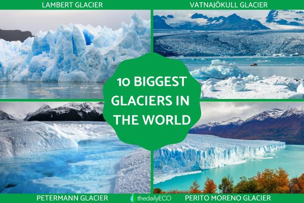 Biggest Glaciers in the World
