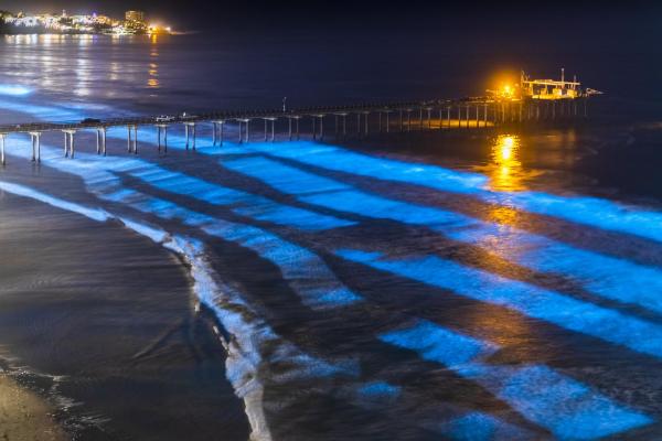 What Are Bioluminescent Beaches? - Bioluminescent beaches in the world