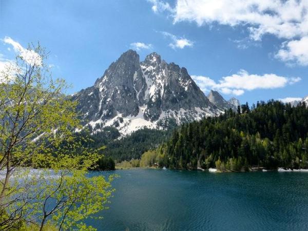 The Difference Between Biosphere, Ecosphere and Ecosystem - Biosphere definition