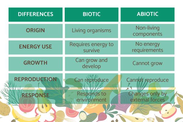 What Are the Environmental Factors in Ecology? - Biotic environmental factors