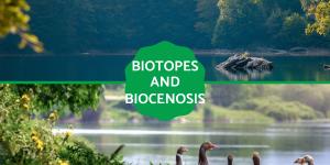 Biotopes and Biocenosis - Definition and Differences
