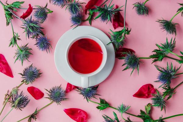 Herbal Infusions to Improve Fatty Liver Health - Blue eryngo or green-flowered eryngo (Eryngium heterophyllum)