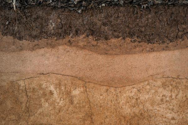 Horizon Layers of Soil - Soil Horizon Explanation - C soil horizon
