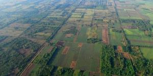 Causes and Effects of Deforestation