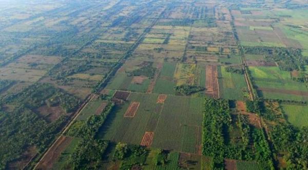 Causes and Effects of Deforestation
