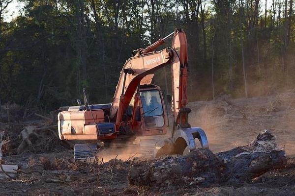 Causes and Effects of Deforestation -