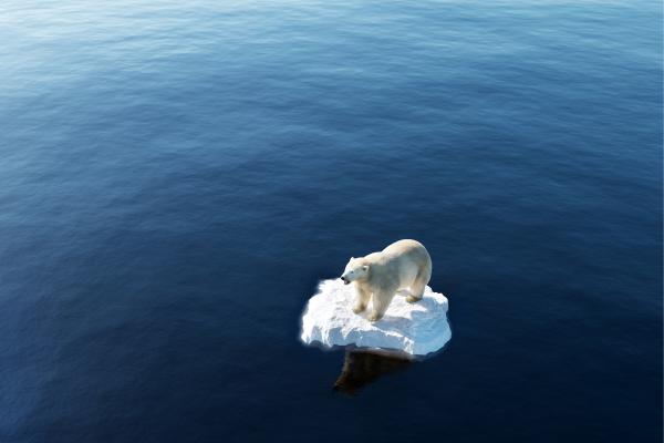 Difference Between Climate Change and Global Warming - Causes and effects of global warming and climate change
