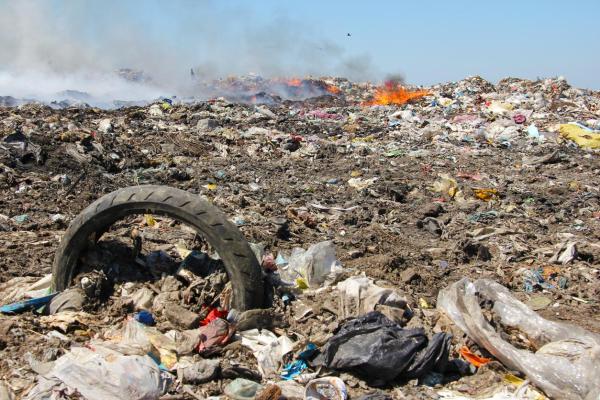 Causes and Effects of Soil Pollution