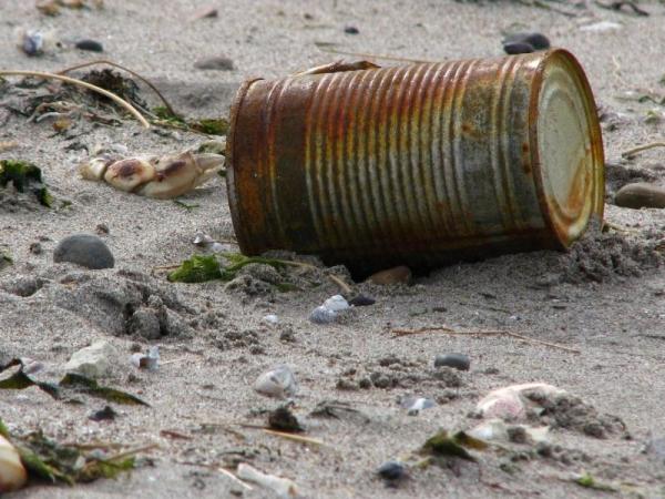 Causes and Effects of Soil Pollution -