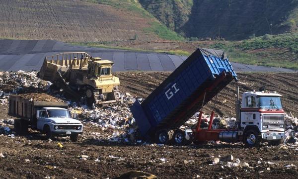 Causes and Effects of Soil Pollution -