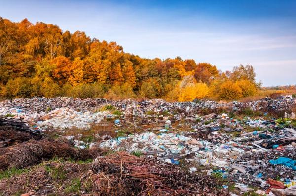 Causes and Effects of Soil Pollution -