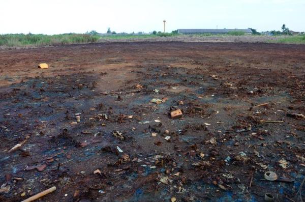Causes and Effects of Soil Pollution -