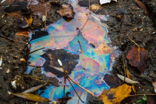 Causes and Effects of Soil Pollution -