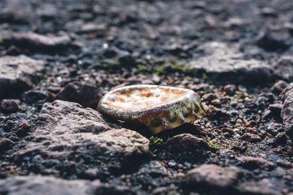 Causes and Effects of Soil Pollution -