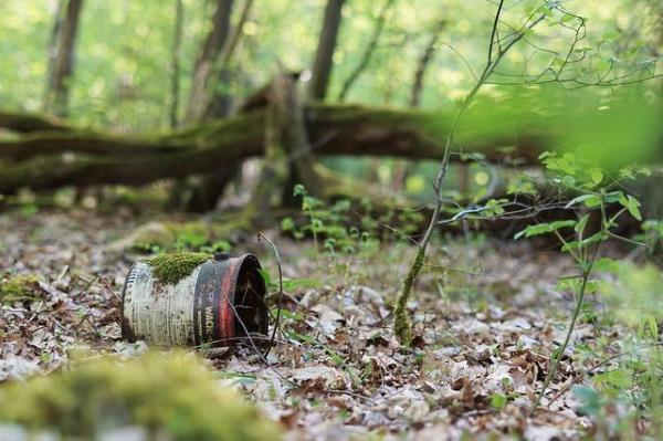 Causes and Effects of Soil Pollution -