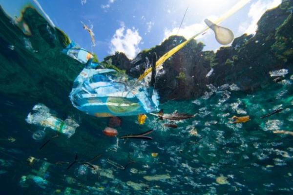 Plastics in the Ocean - Causes, Consequences and Solutions - Causes of plastic in the ocean