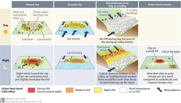 What Is the Heat Urban Island Effect? - Causes of the urban heat island effect