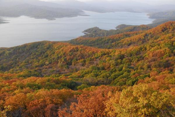 What Is a Continental Climate? - Characteristics of a continental climate