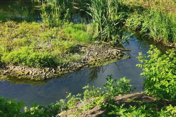 What Is a Stream in Geography? - Characteristics of a stream