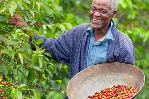 What Are the Principles of Fair Trade? - Characteristics of the fair trade movement