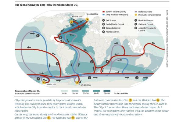What Is the Humboldt Current? - Characteristics of the Humboldt Current