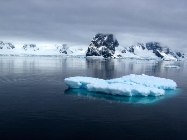What Are Polar Ecosystems? - Characteristics of the polar ecosystem