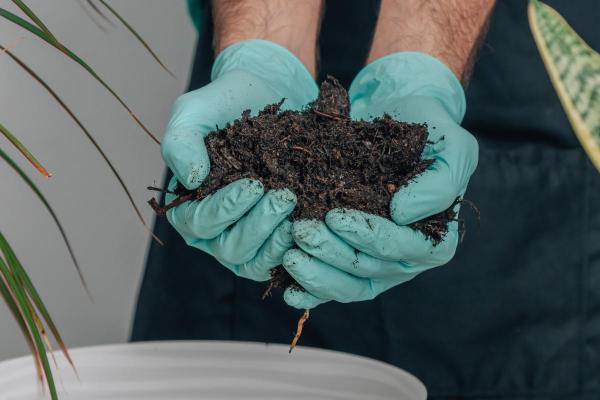 What Is Universal Soil? - Characteristics of universal soil