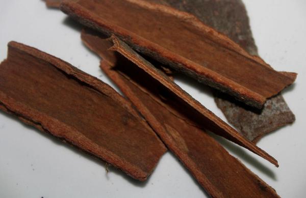 Different Types of Cinnamon - Chinese cassia (Cinnamomum cassia)