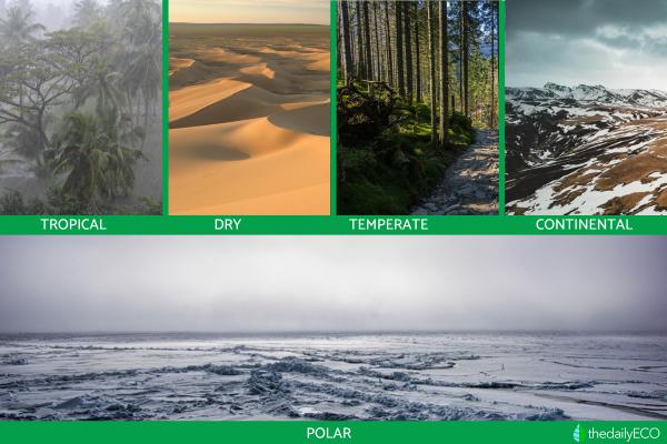 Types of Climate - Definition and Classification - Climate classification